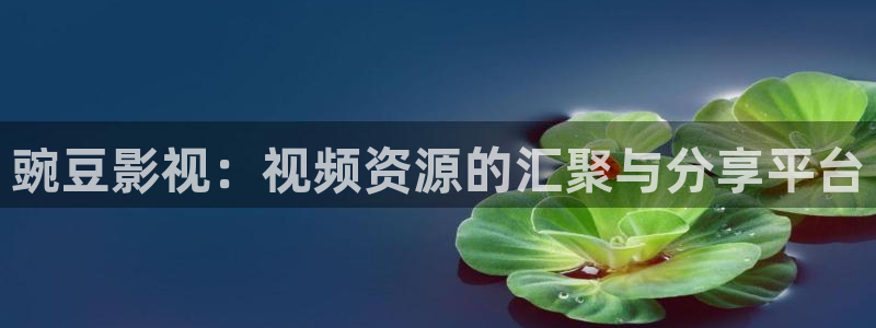 韩国电影金牌销售：豌豆影视：视频资源的汇聚与分享平台