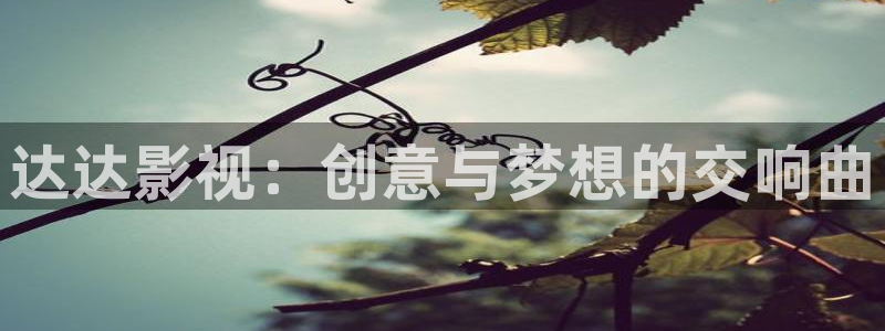 金牌影院雁回时：达达影视：创意与梦想的交响曲
