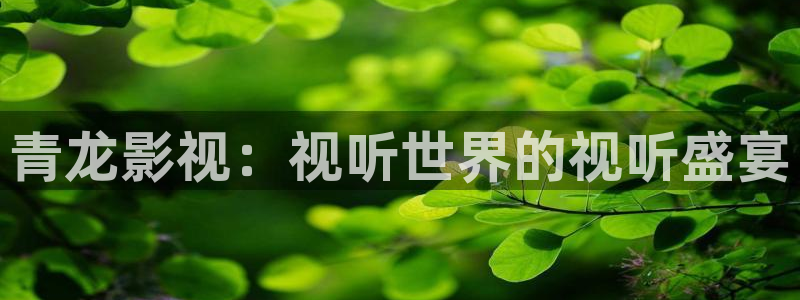 沉香如屑金牌影视：青龙影视：视听世界的视听盛宴