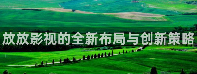 金牌影视官方正版在线观看免费：放放影视的全新布局与创新策略