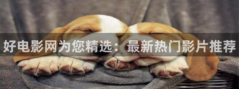 我是刑警金牌影院在线观看：好电影网为您精选：最新热门影片推荐