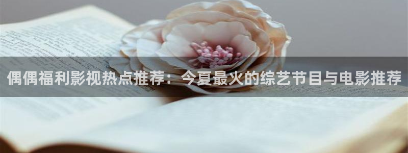 金牌影视官网入口：偶偶福利影视热点推荐：今夏最火的综艺节目与电影推荐