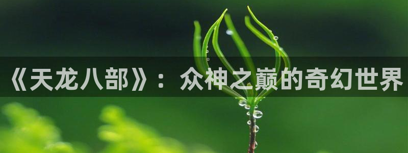 金牌影院免费官网：《天龙八部》：众神之巅的奇幻世界