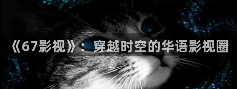 金牌特勤队电影免费播放：《67影视》：穿越时空的华语影视圈